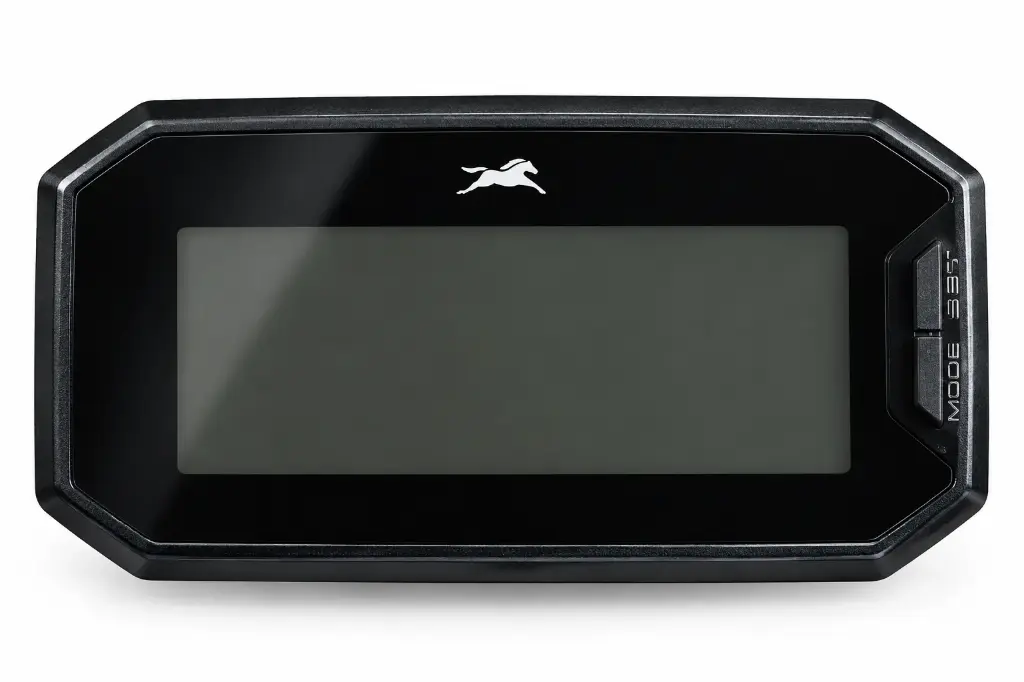 TVS Raider 125
